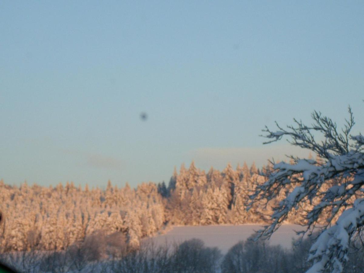 Location Vacances Des 4 Vents Girmont-Val-dʼAjol Eksteriør billede